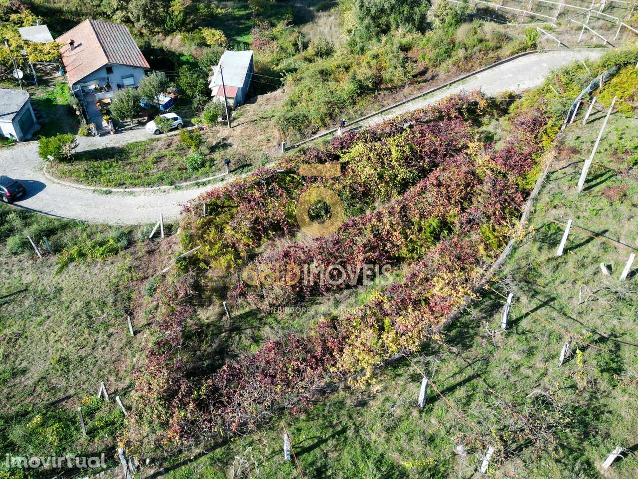 Terreno Para Construção  Venda em Santa Maria de Sardoura,Castelo de P - Grande imagem: 4/7