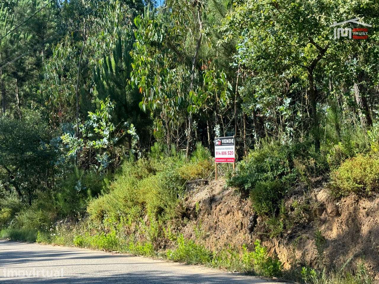 Terreno com área total de 6.800 m2 de pinhal e eucaliptos no Escand... - Grande imagem: 3/17