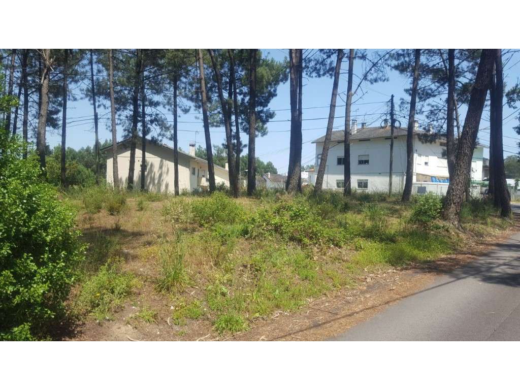 Terreno - Leiria - Grande imagem: 2/4