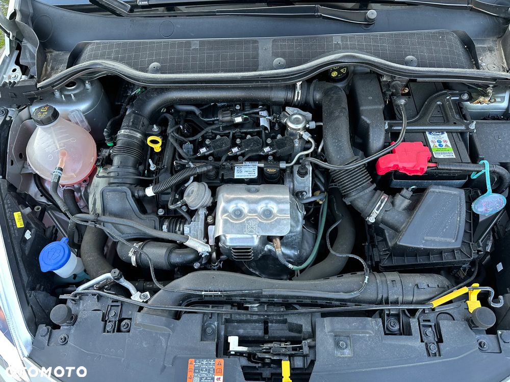 Ford Fiesta - 30