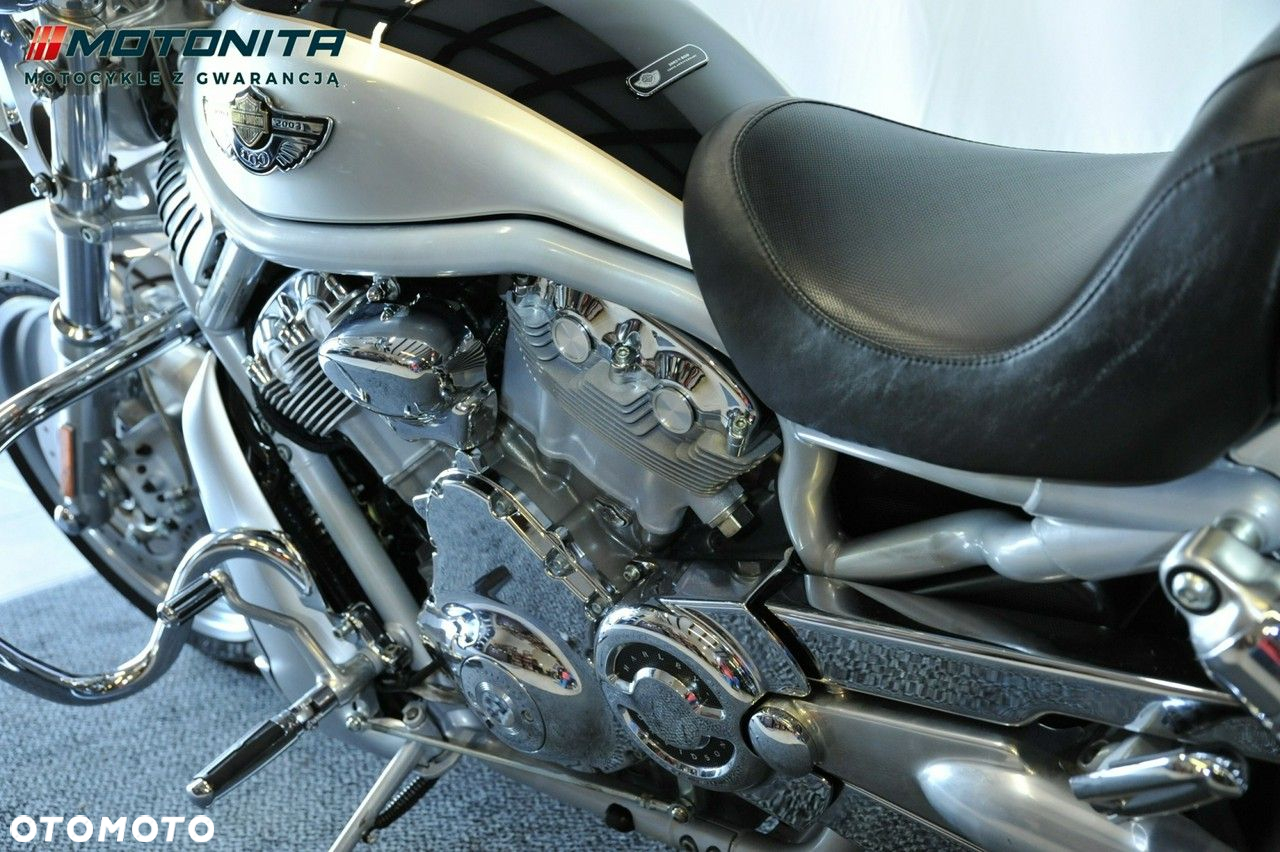 Harley-Davidson Softail V-Rod - 21
