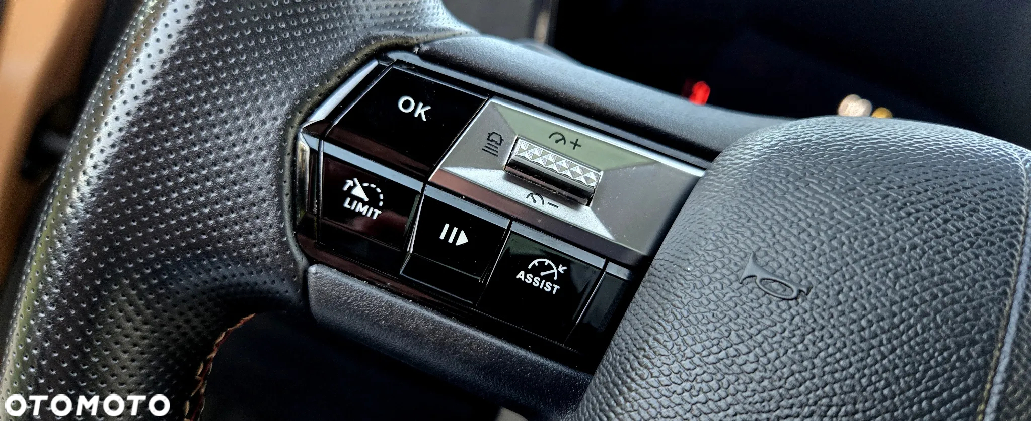 DS Automobiles DS 4 1.5 BlueHDi Performance Line + - 23