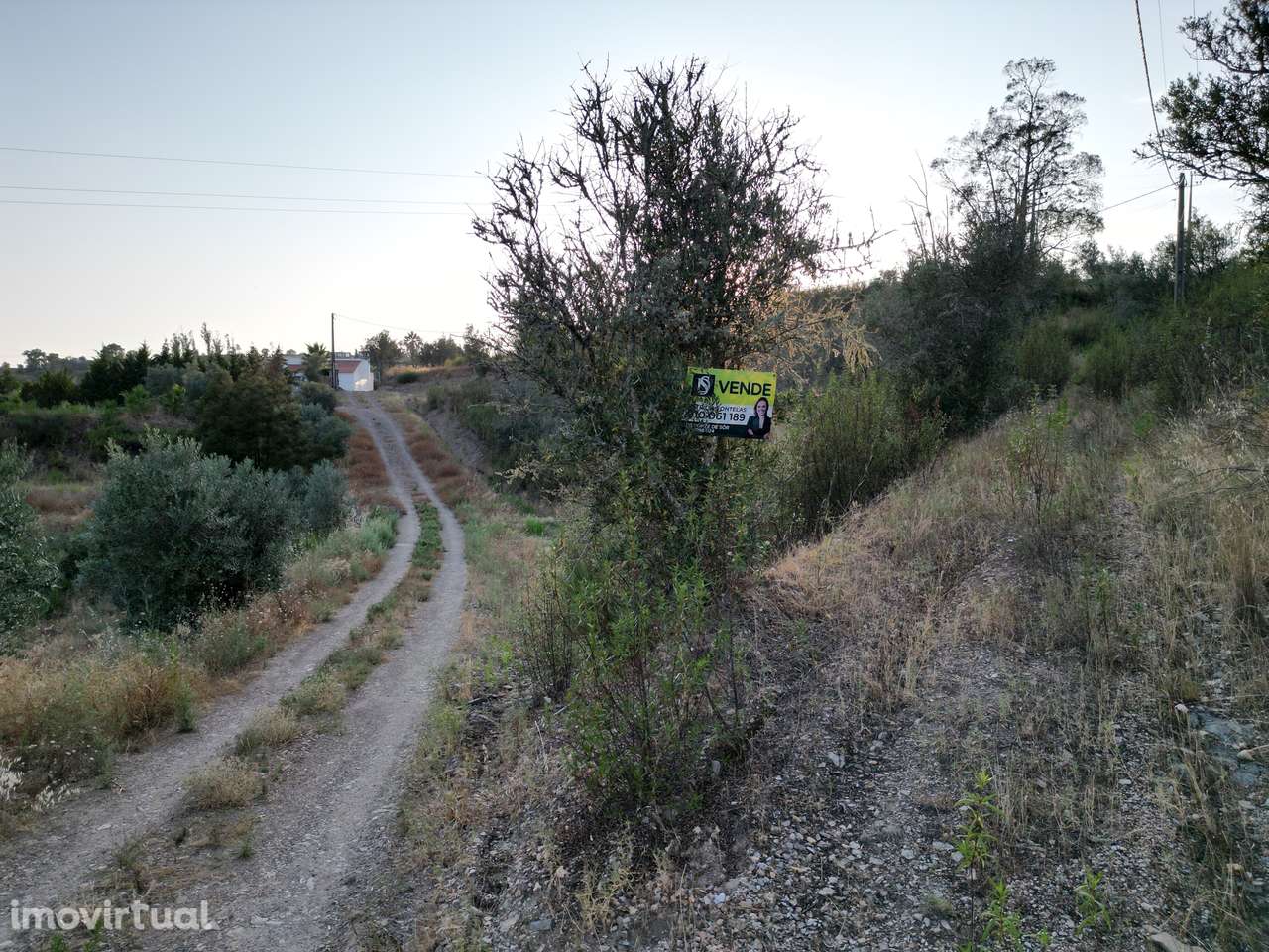Terreno  Venda em Montargil,Ponte de Sor - Grande imagem: 4/8