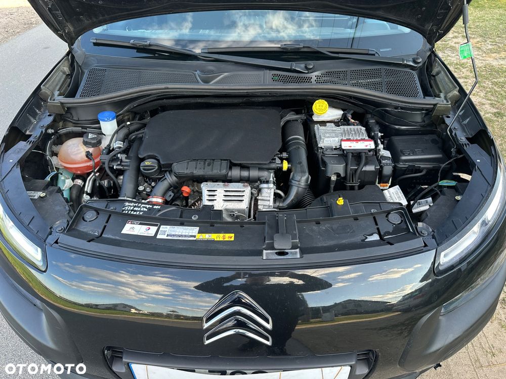 Citroën C4 Cactus Pure Tech 110 Stop&Start Rip Curl - 19