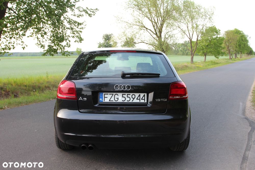 Audi A3 3-drzwiowe 1.9 TDI DPF Ambiente - 6