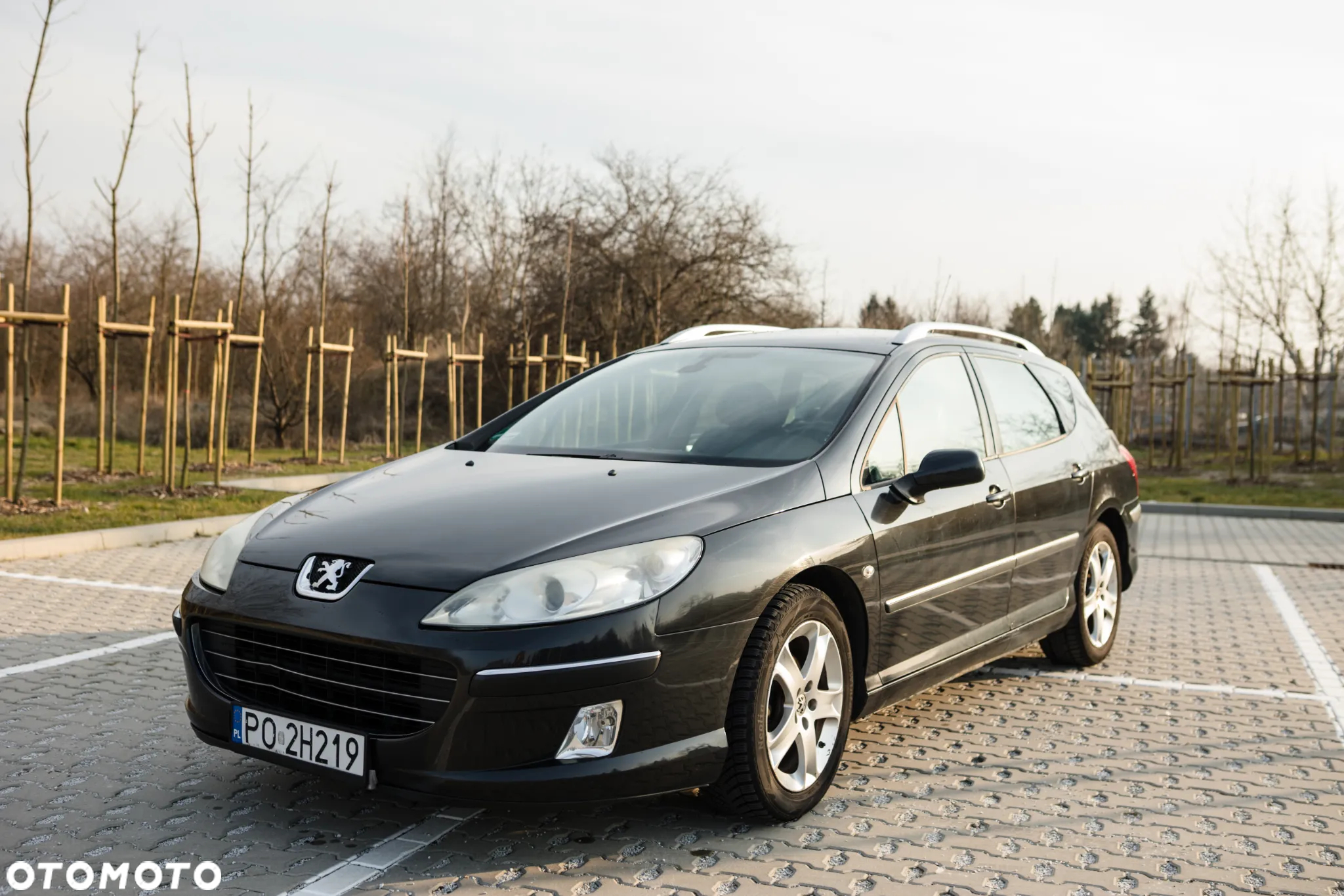 Peugeot 407 SW 140 - 2