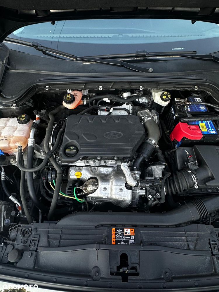 Ford Focus - 6