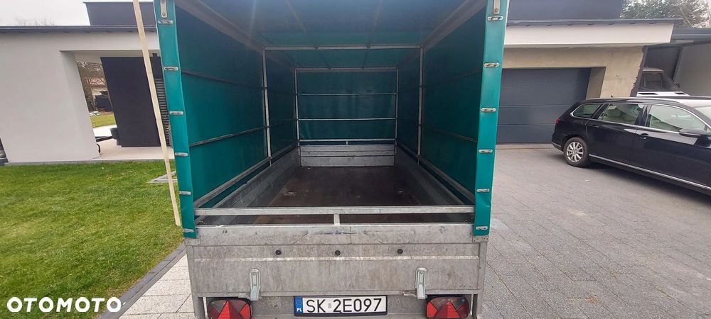 Niewiadów NT Lazur - 6