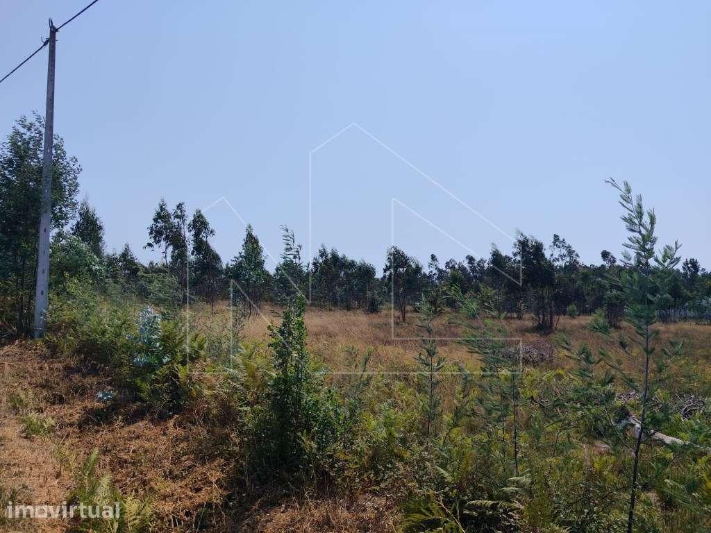Terreno Urbano com Excelente Frente em Valongo do Vouga - Grande imagem: 2/2