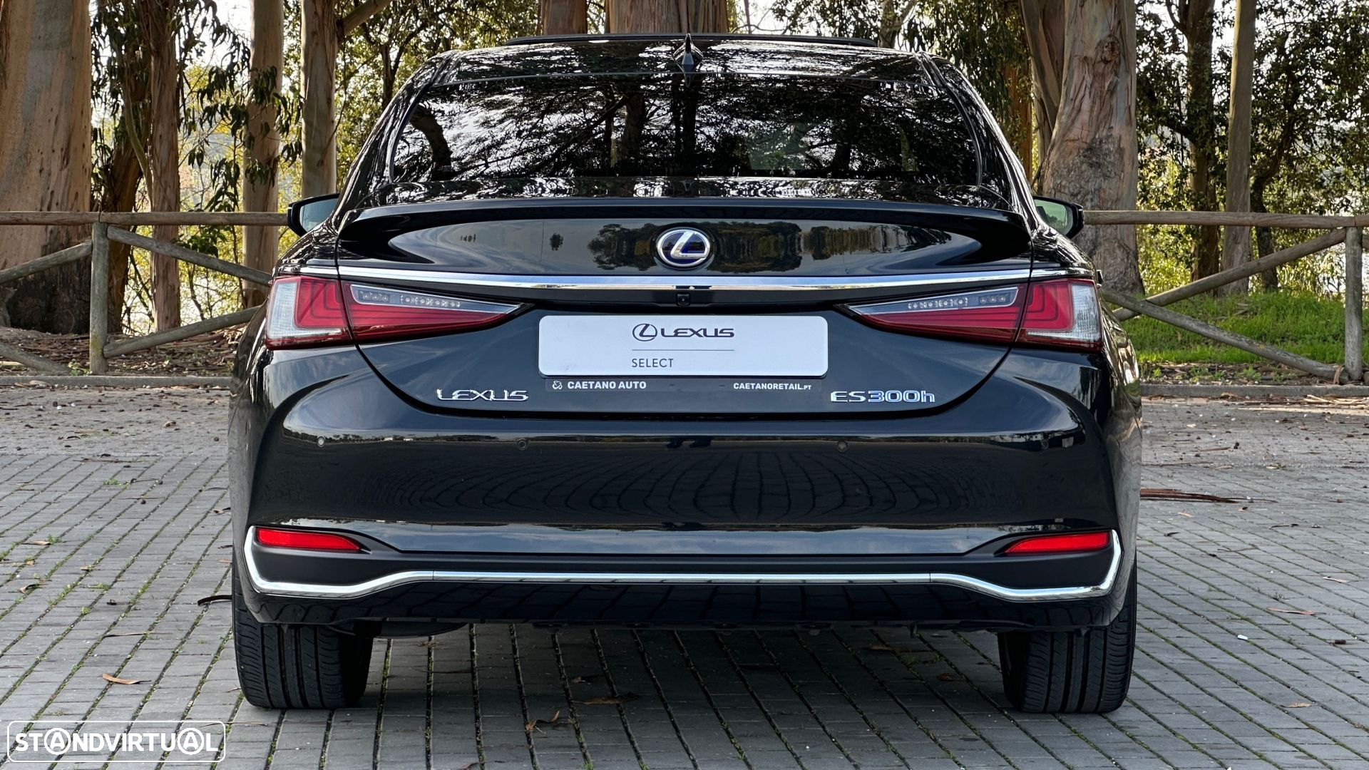 Lexus ES 300h Special Edition - 6