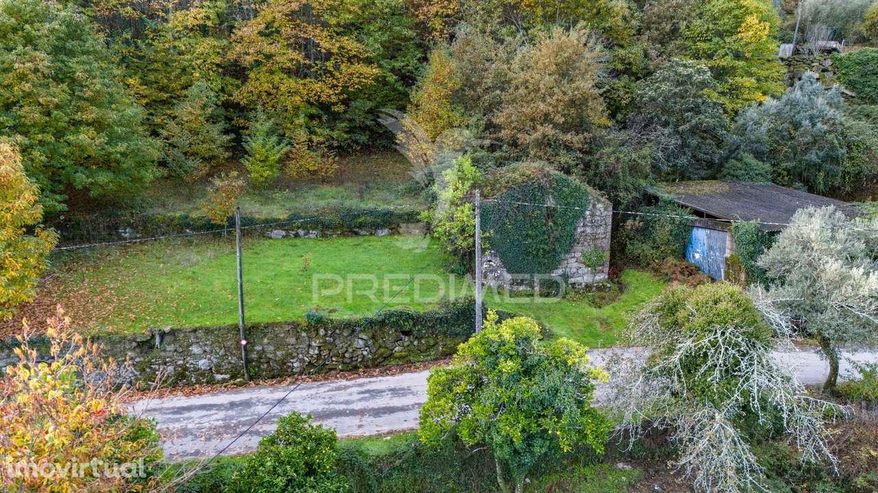 Moradia T1 em ruína em Ribeira de Pena - Grande imagem: 3/20