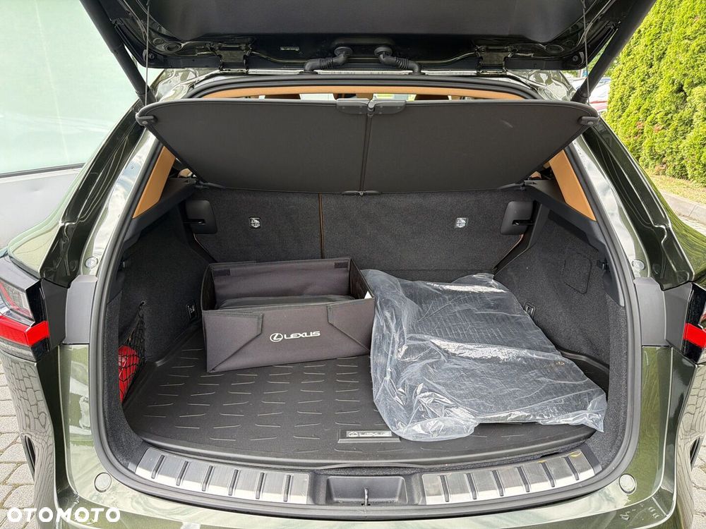 Lexus NX - 18