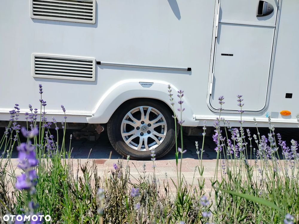 SWIFT Eccles Sport 586 - 31