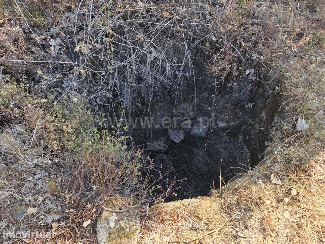 Terreno / Fundão, Alpedrinha - Grande imagem: 4/9