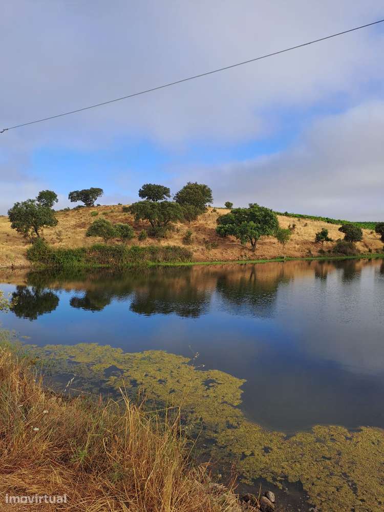 herdade para venda - Grande imagem: 2/3