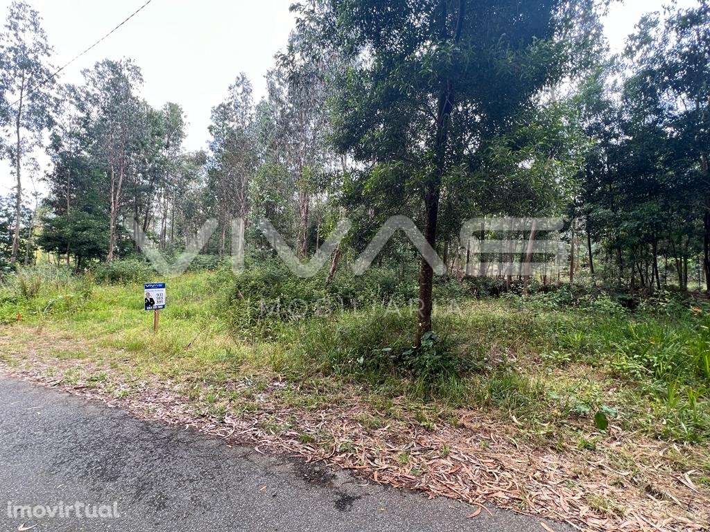 Terreno Urbano  Venda em Marrancos e Arcozelo,Vila Verde - Grande imagem: 2/7