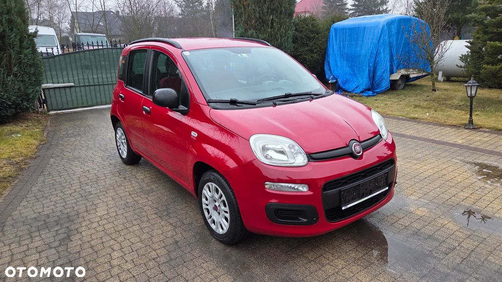 Fiat Panda - 2