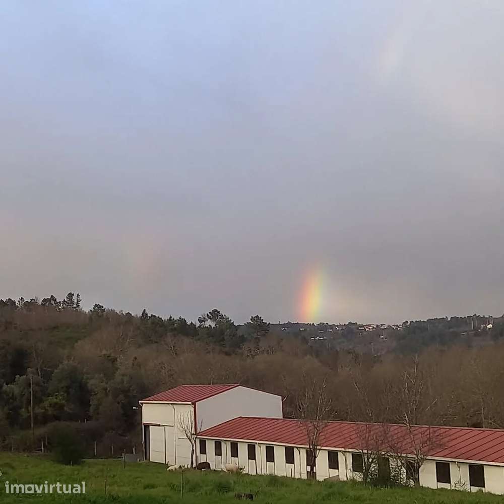 Moradia T2 nova no campo com 3 casas de banho - Grande imagem: 2/15