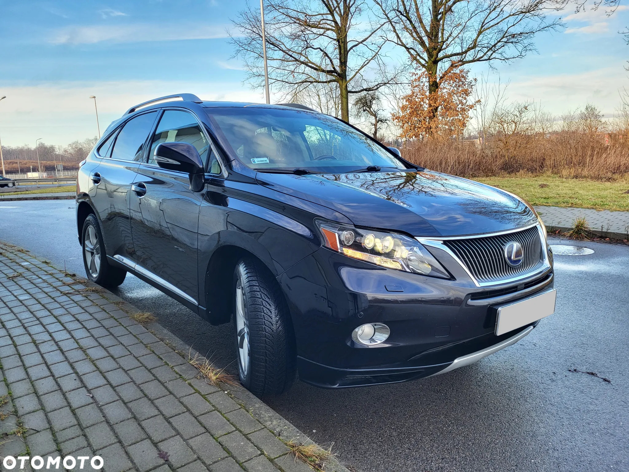 Lexus RX - 3