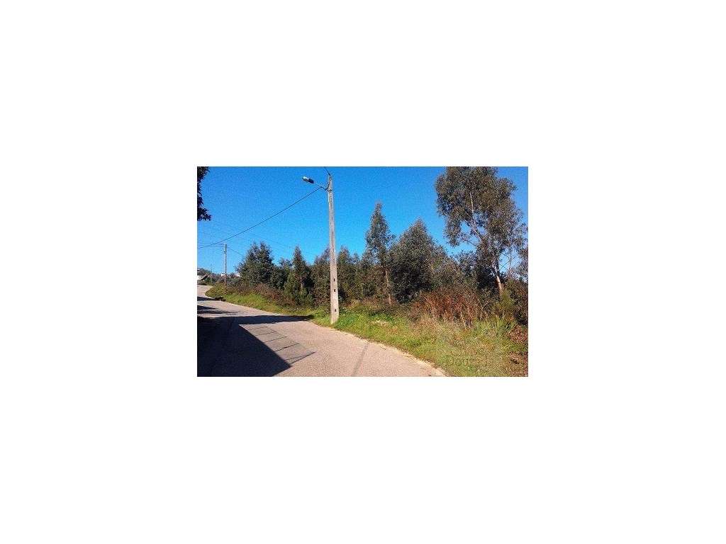 Terreno com 2.650m2 nas Torres do Mondego. - Grande imagem: 2/4
