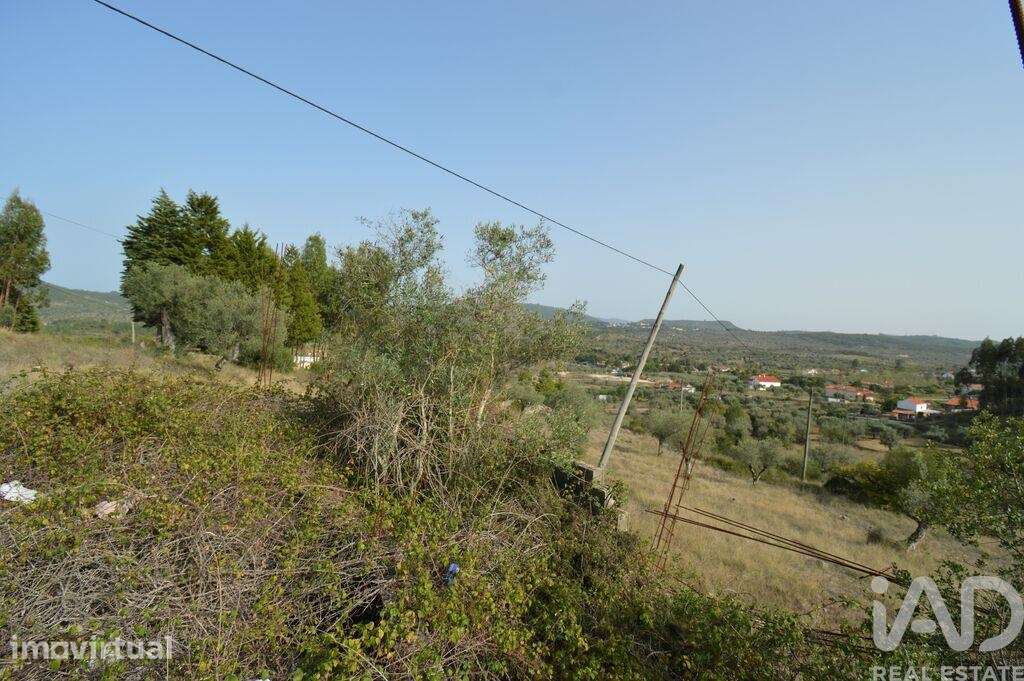 Terreno em Alvorge de 3365,00 m2 - Grande imagem: 5/5