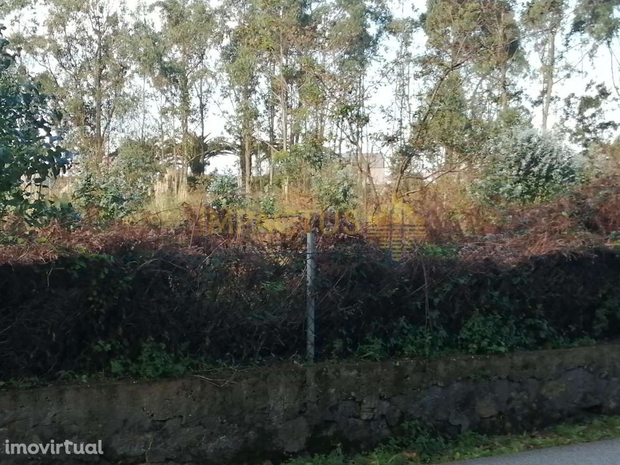 Terreno de 10 851m2 em Lavra - Grande imagem: 5/18