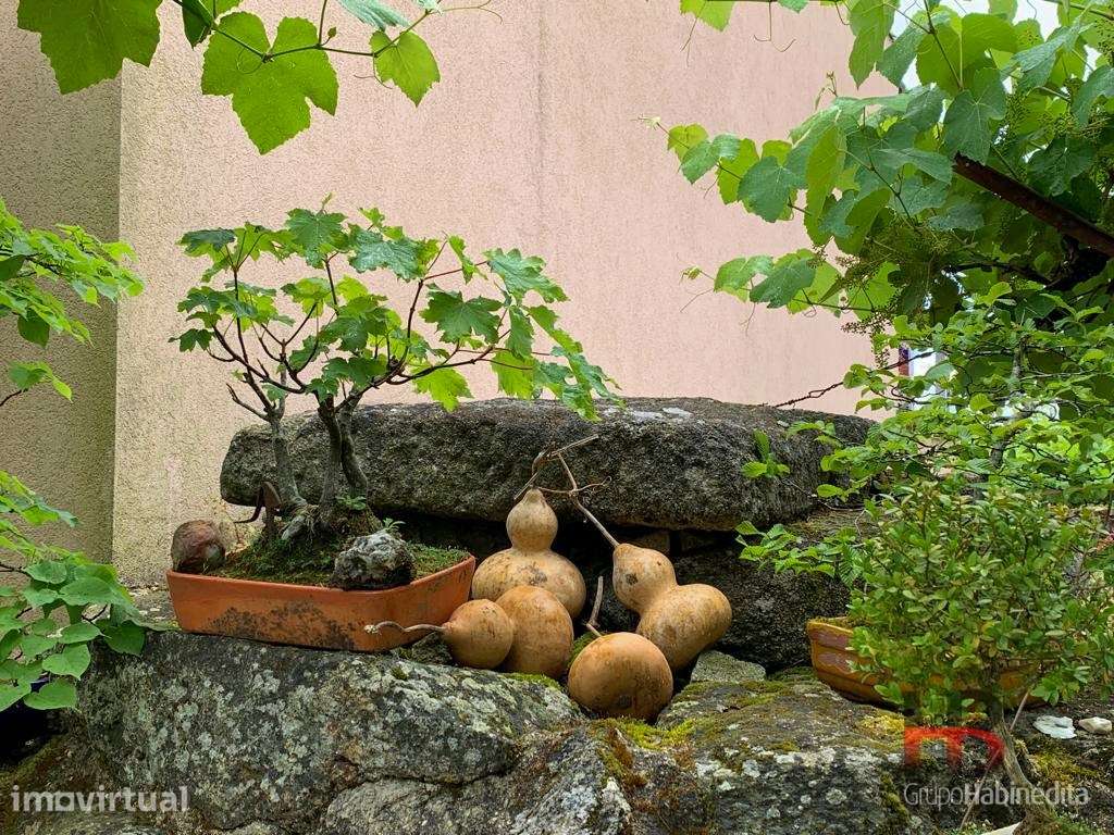 Moradia Rústica T5 Venda em São Vicente de Lafões,Oliveira de Frades - Grande imagem: 5/24