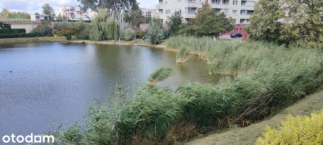 2 pokoje/taras 11,5 mkw/ochrona/metro Lazurowa/wysoki standard