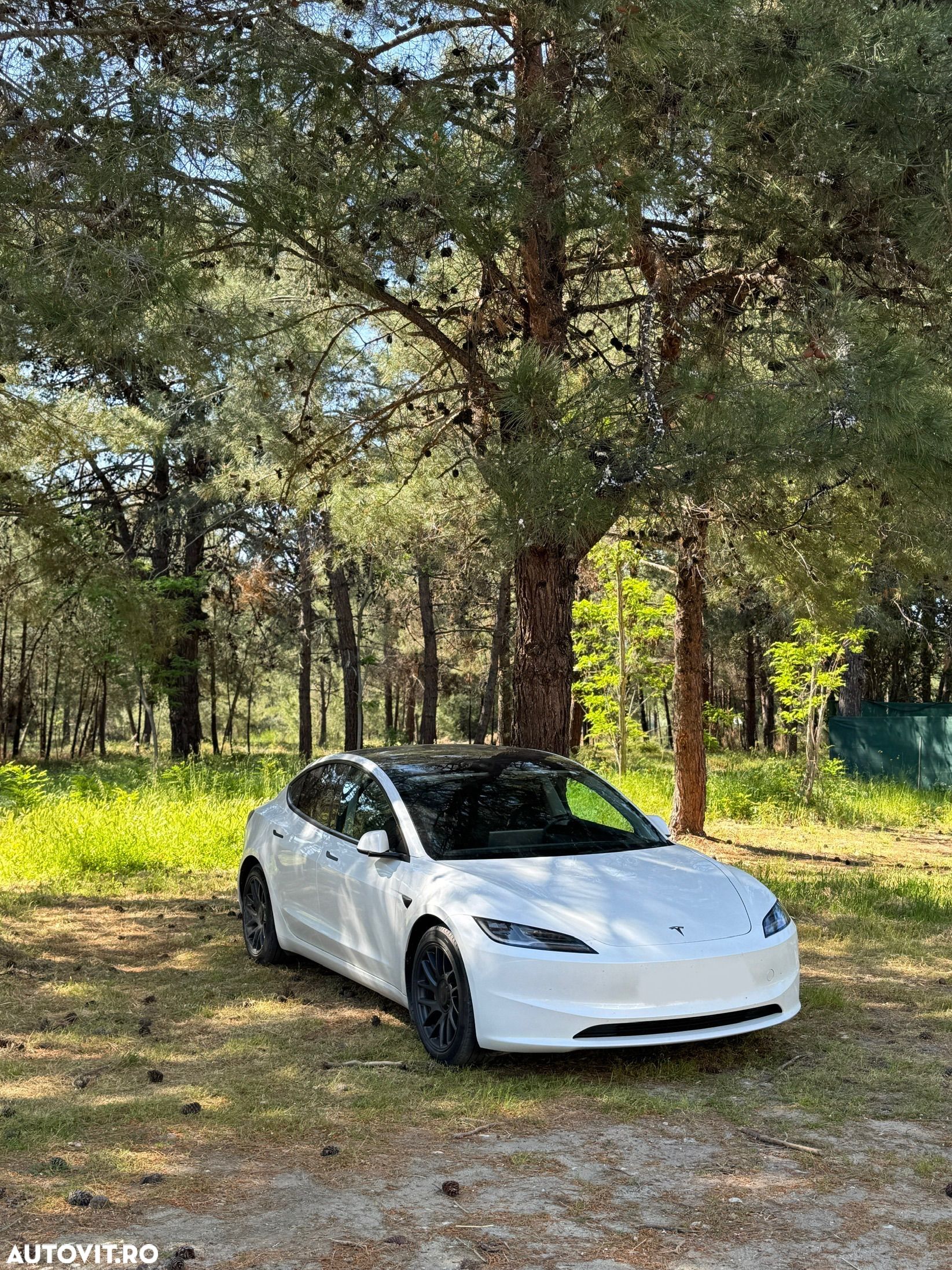 Tesla Model 3 Standard - 1