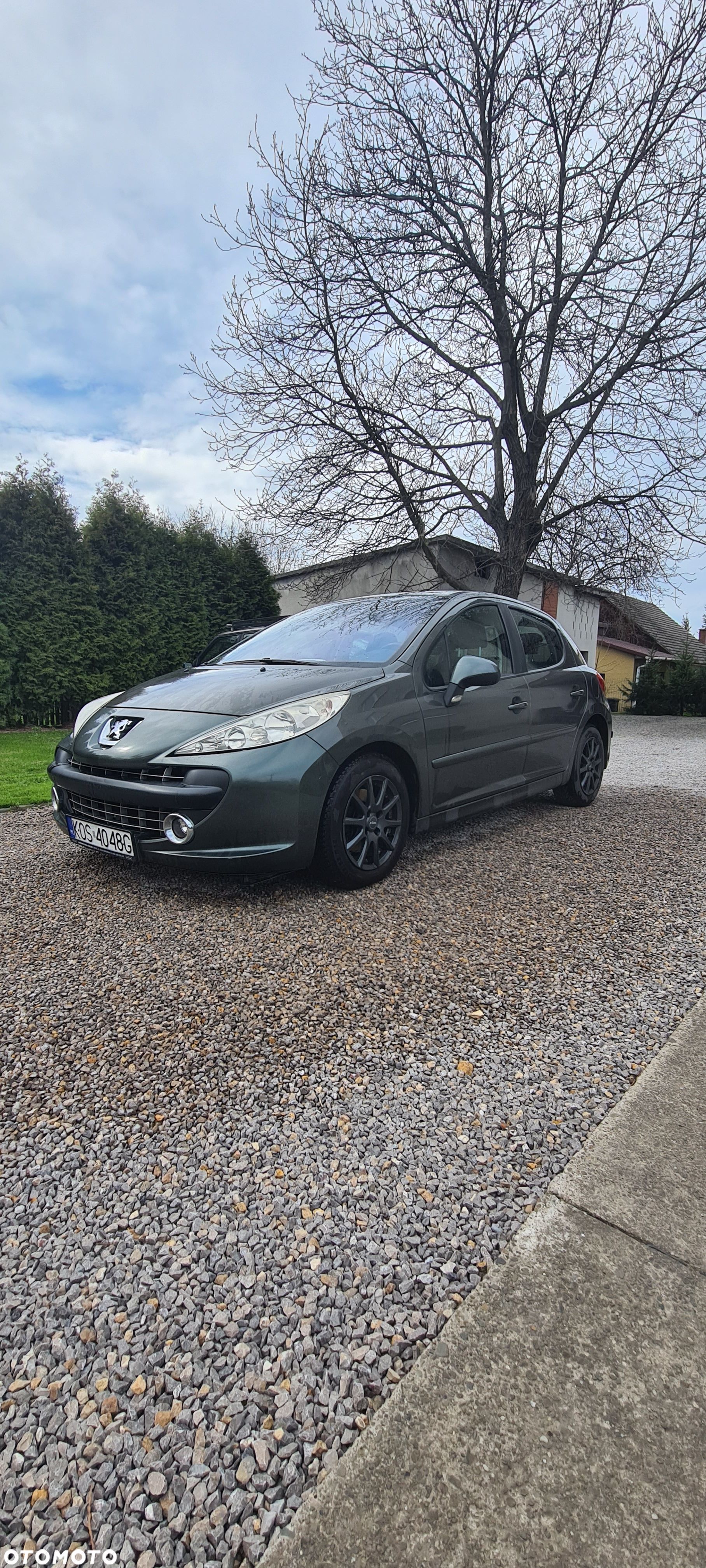 Peugeot 207 - 1