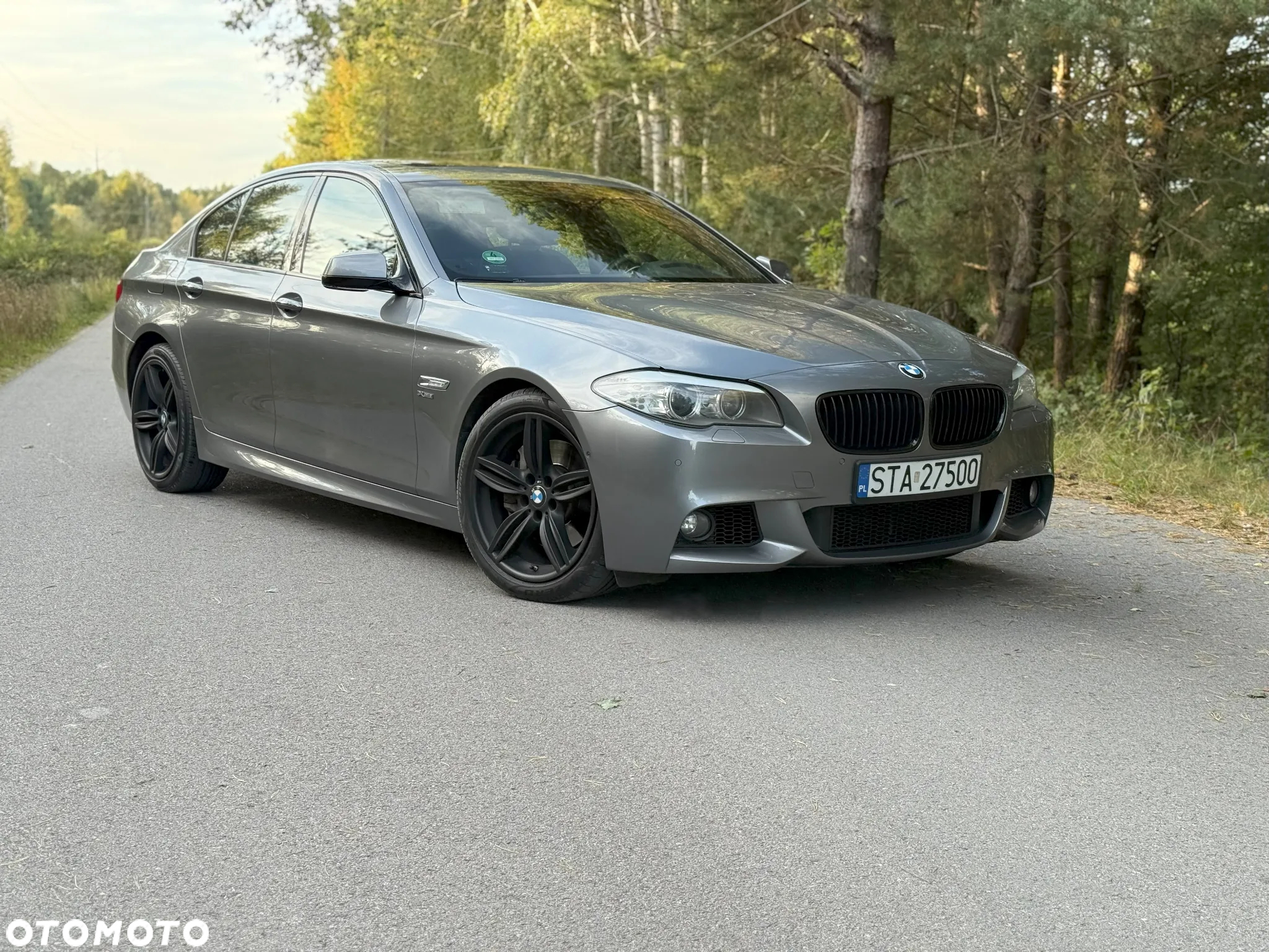 BMW Seria 5 550i - 6