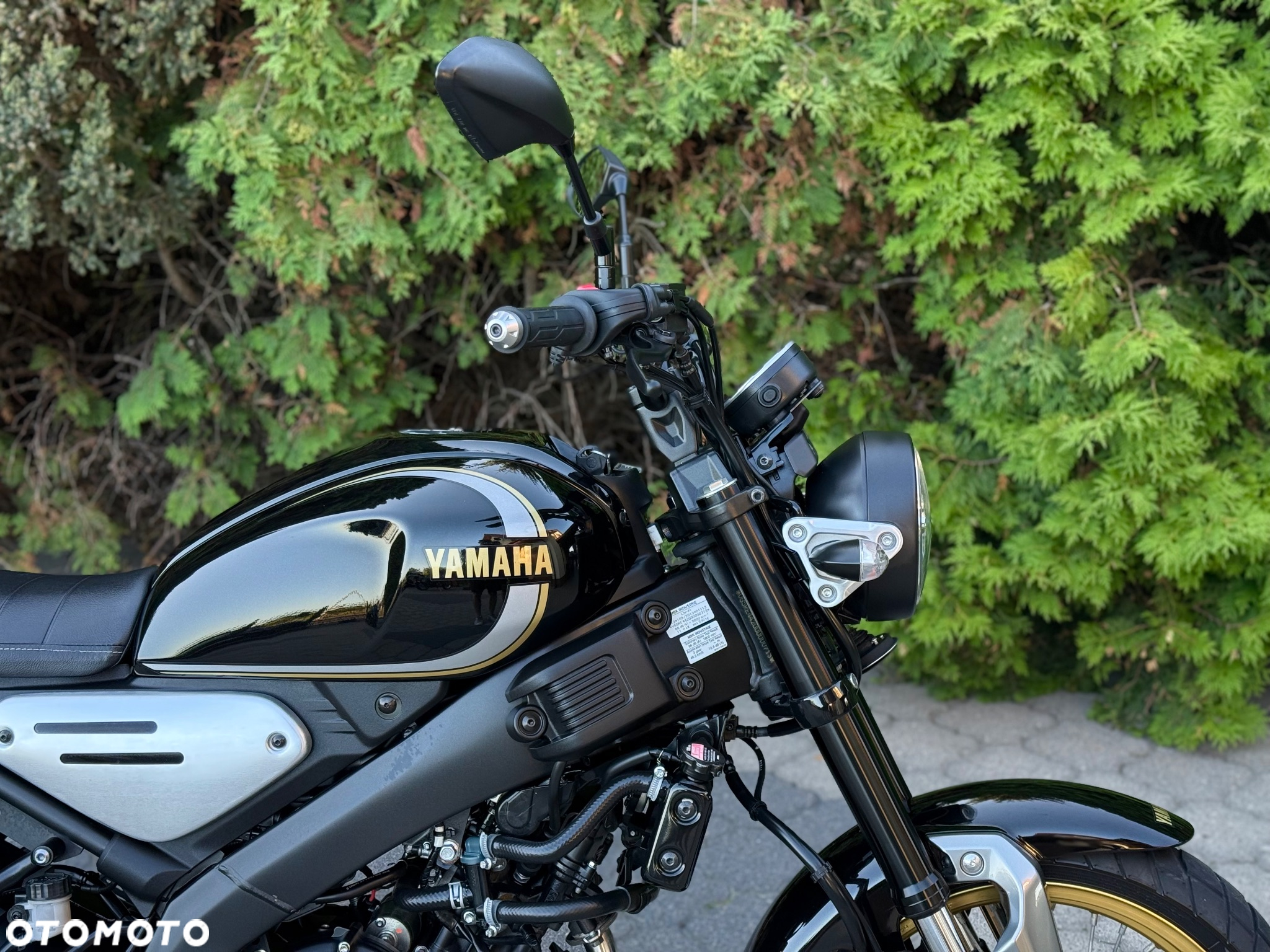 Yamaha XSR - 12
