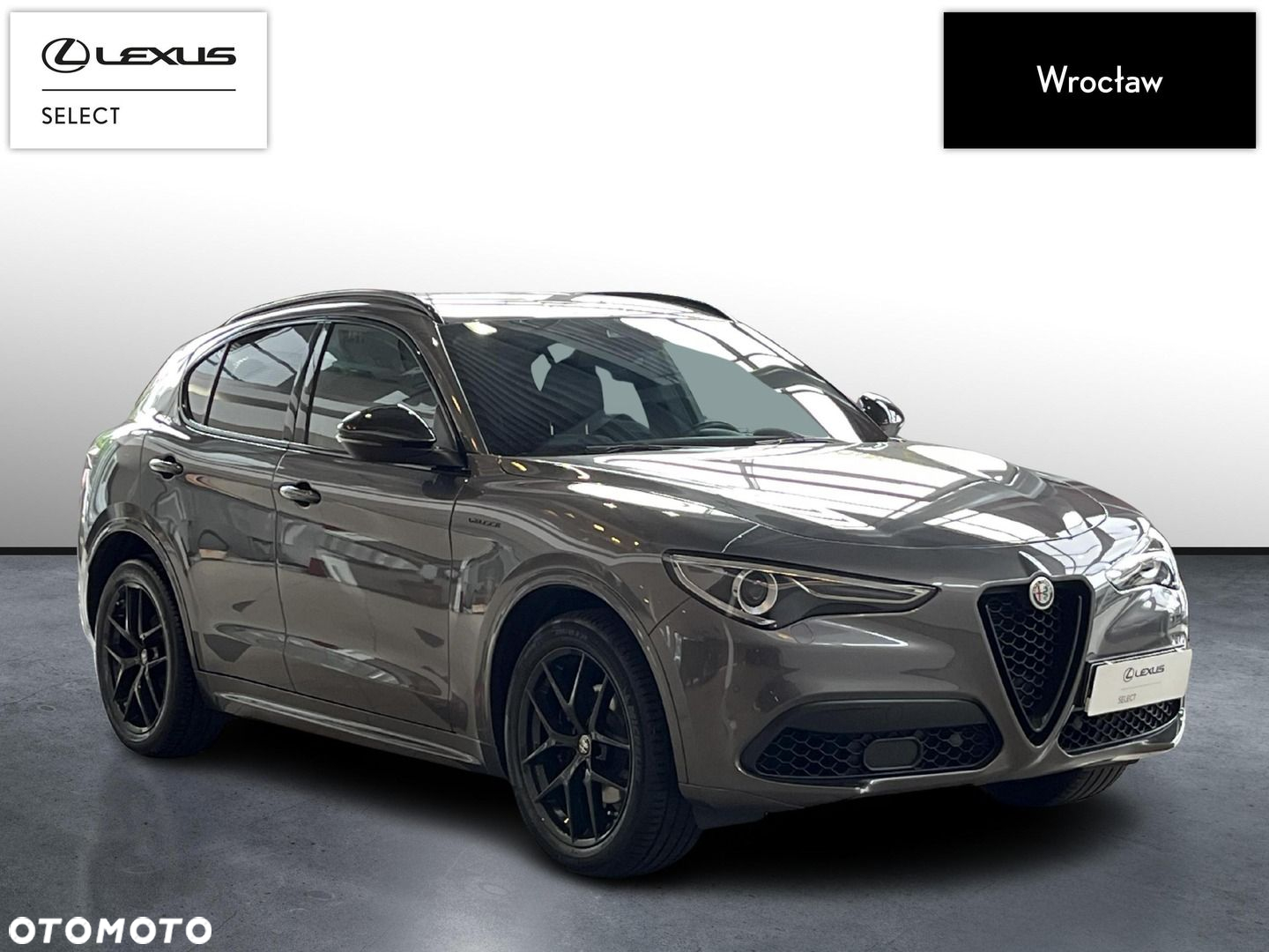 Alfa Romeo Stelvio - 7