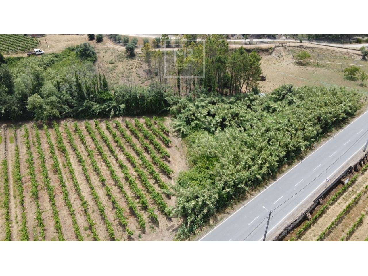Terreno  Venda em São Lourenço do Bairro,Anadia - Grande imagem: 3/4
