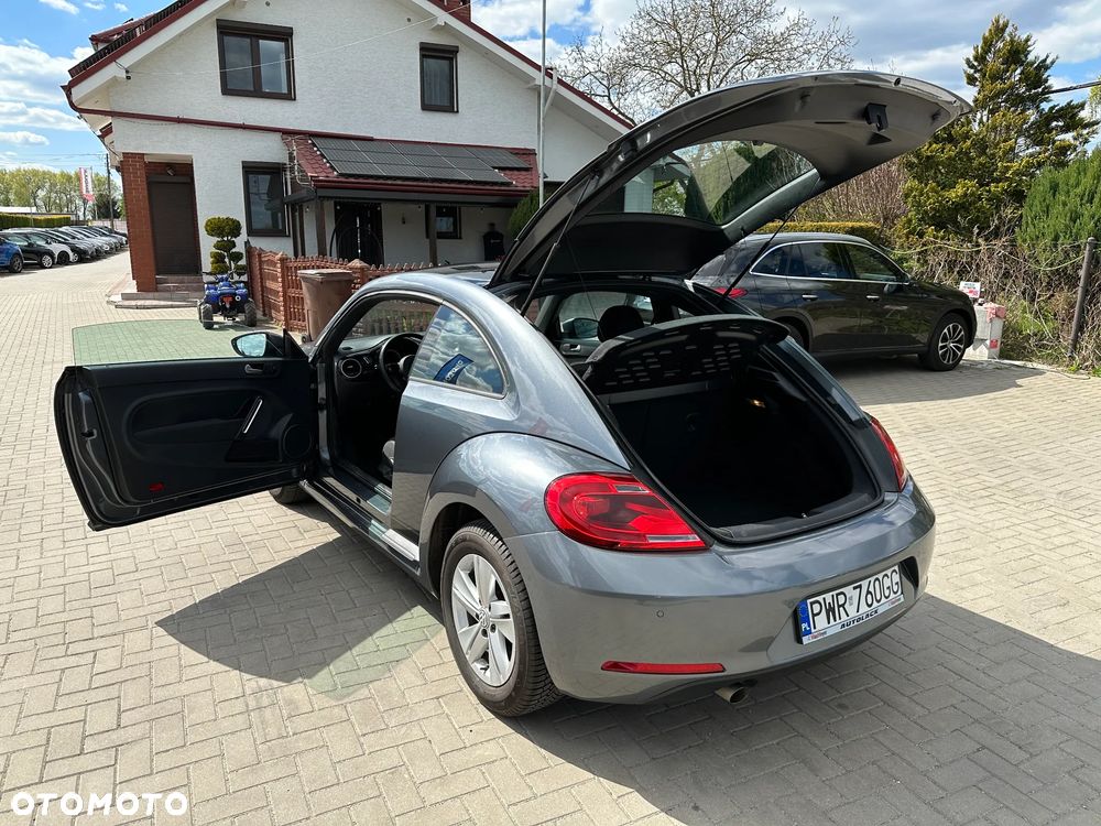 Volkswagen Beetle - 25