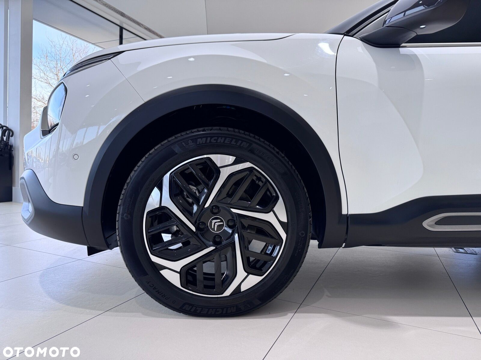 Citroën C4 1.2 PureTech Shine S&S - 19