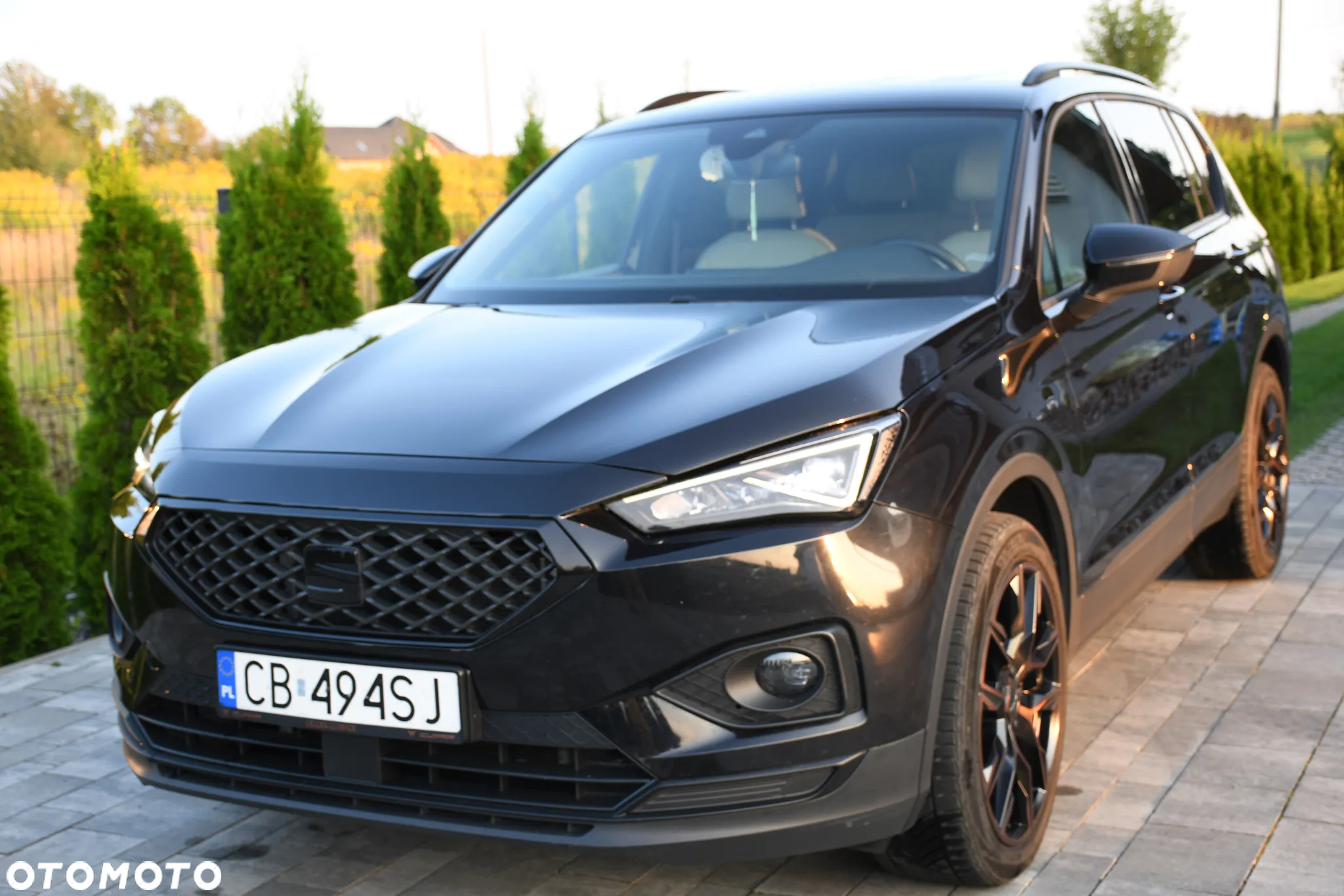 Seat Tarraco 2.0 TDI Xperience S&S DSG - 5