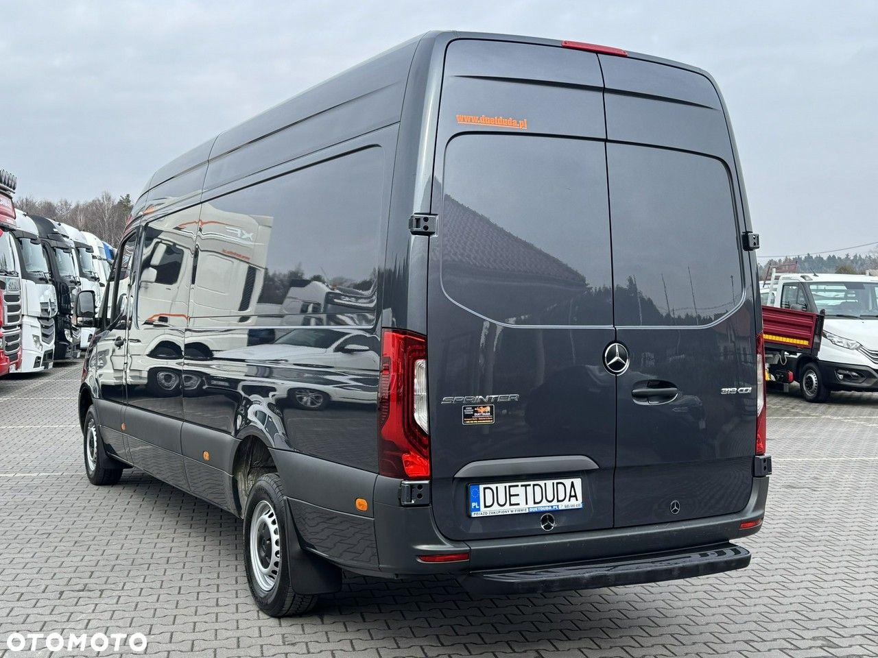 Mercedes-Benz 319 - 14
