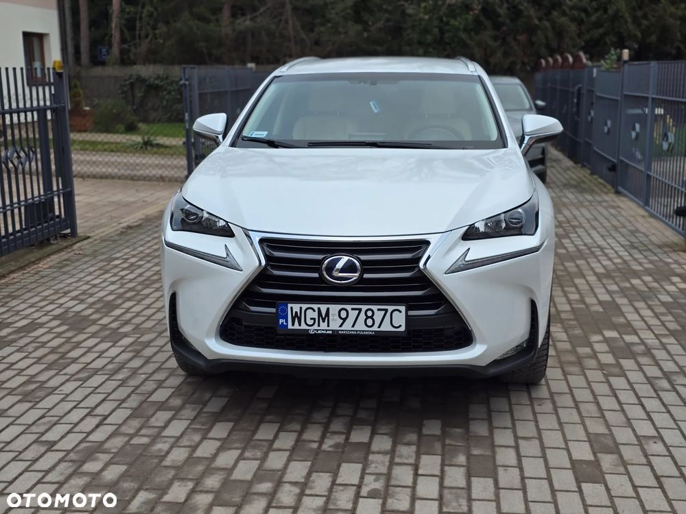 Lexus NX - 10