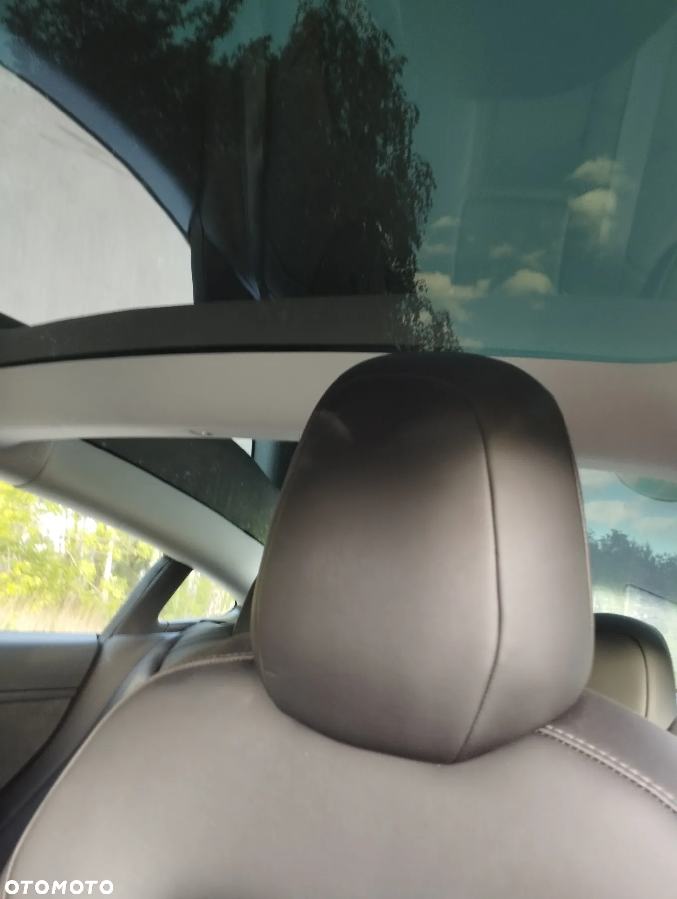 Tesla Model 3 Standard Range Plus - 12