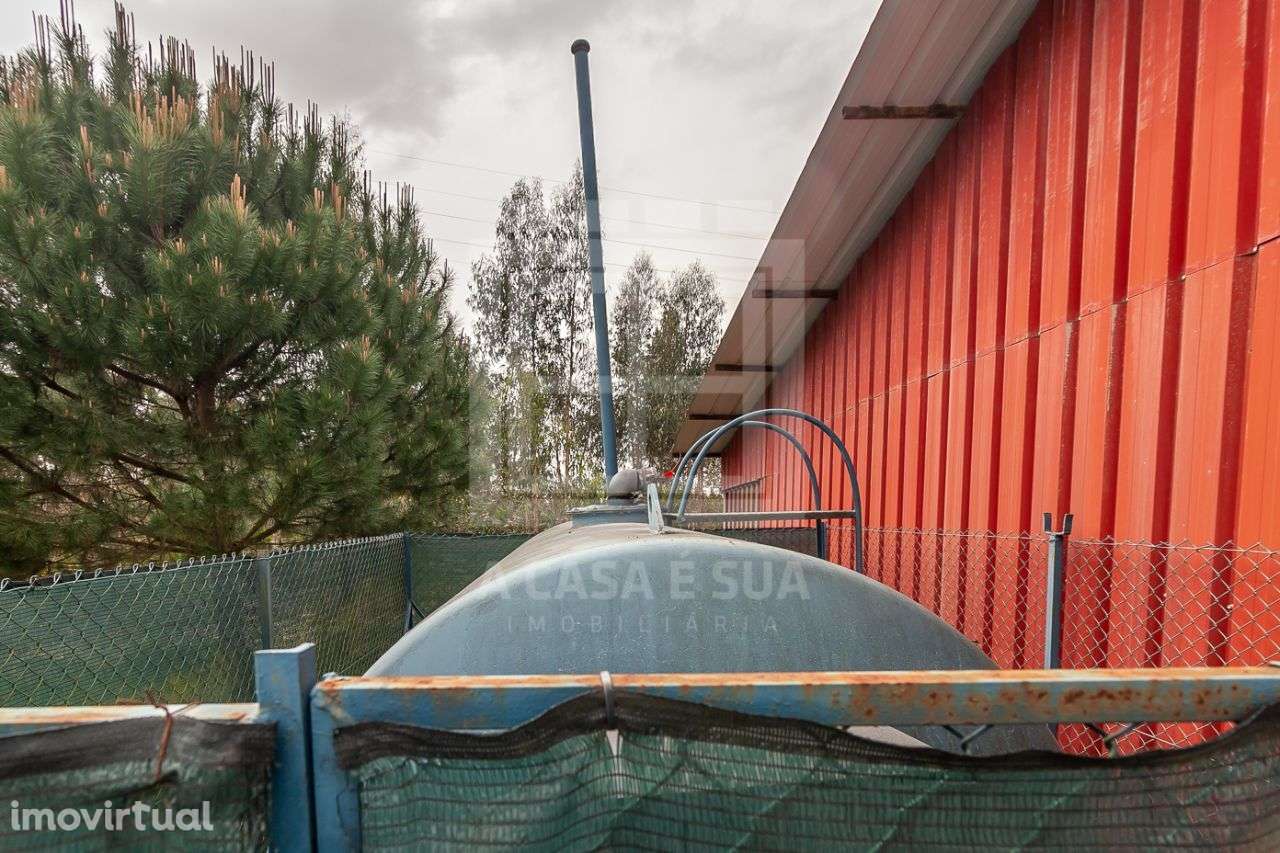 Armazém para Arrendamento na Zona Industrial de Ovar - Grande imagem: 5/15