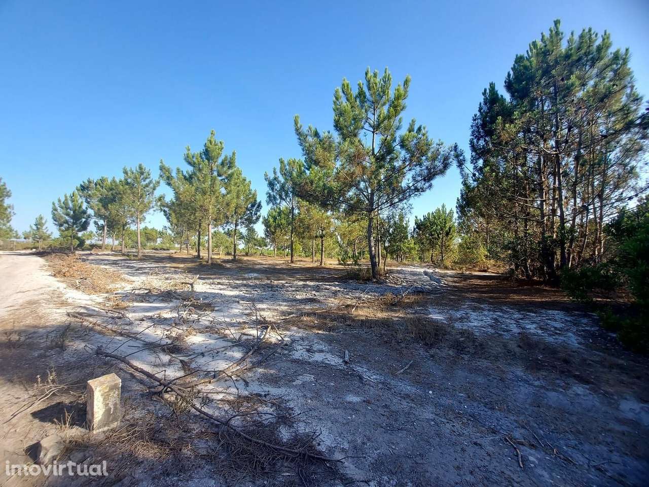 Terreno Rústico em Perímetro Urbano 1.3 ha, Lagoa de Santo... - Grande imagem: 4/16