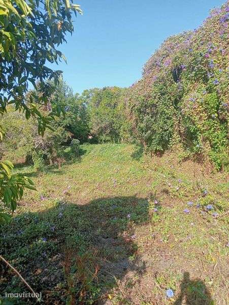 Quinta Urbana Única com 5.515 m² no Planalto de Santarém