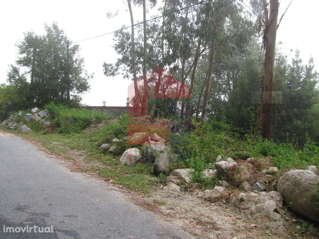 Terreno para construção, Aboim da Nóbrega - Grande imagem: 2/3