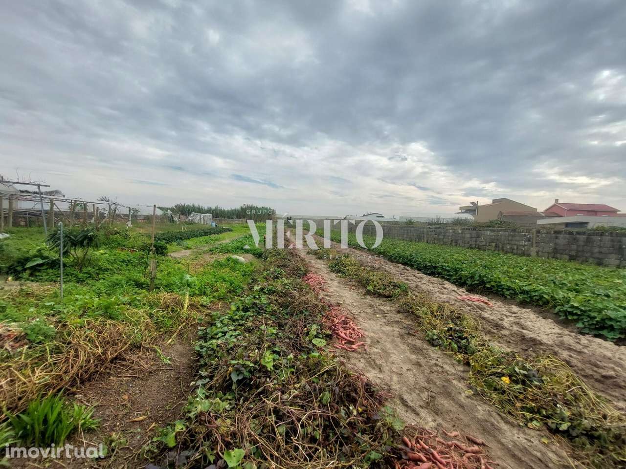 Moradia para Restauro na Aguçadoura, Póvoa de Varzim! - Grande imagem: 3/25