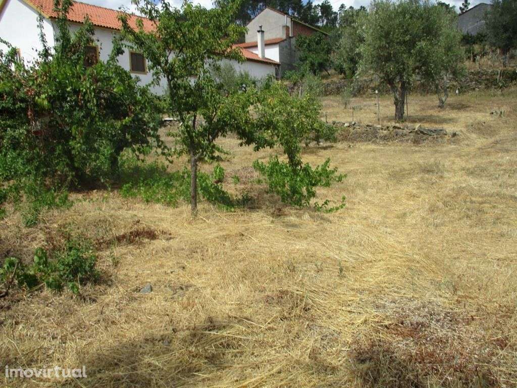 Terreno - Grande imagem: 3/5