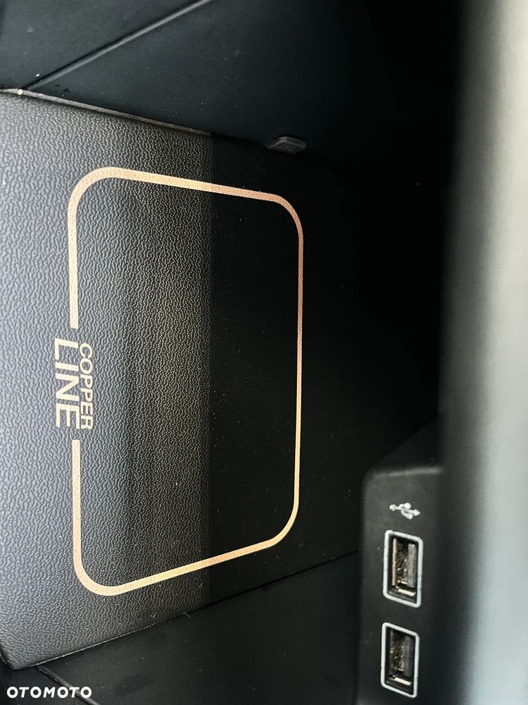 Volkswagen Polo - 30