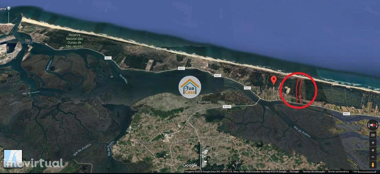 QUINTAS DO NORTE – MURTOSA - Grande imagem: 2/13