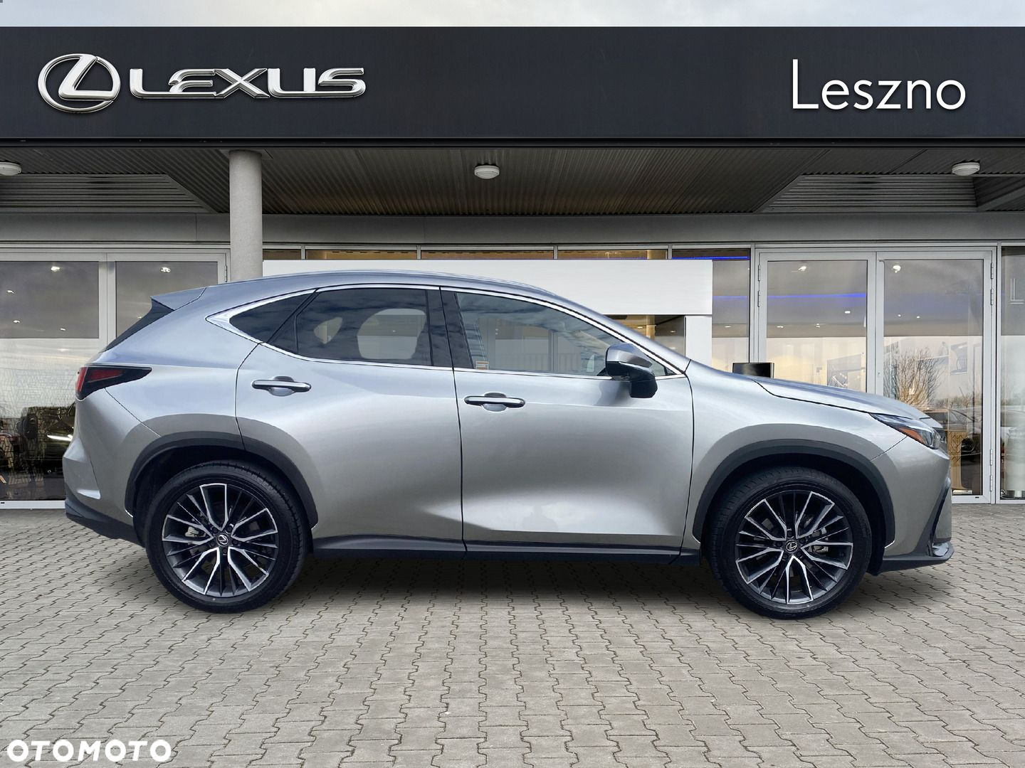 Lexus NX - 10