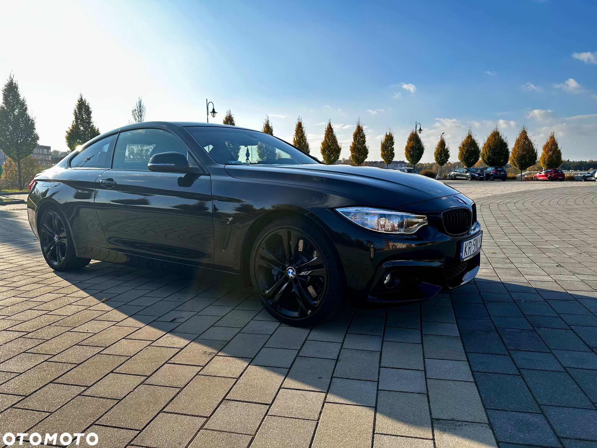 BMW Seria 4 435i Coupe xDrive Sport Line - 10